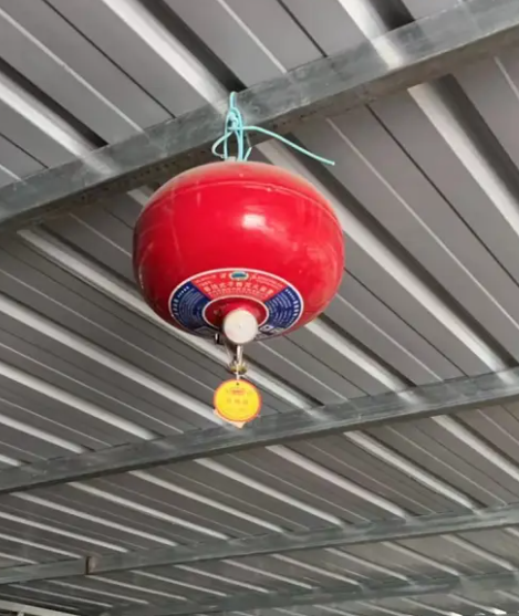 1733206679594993.png image.png