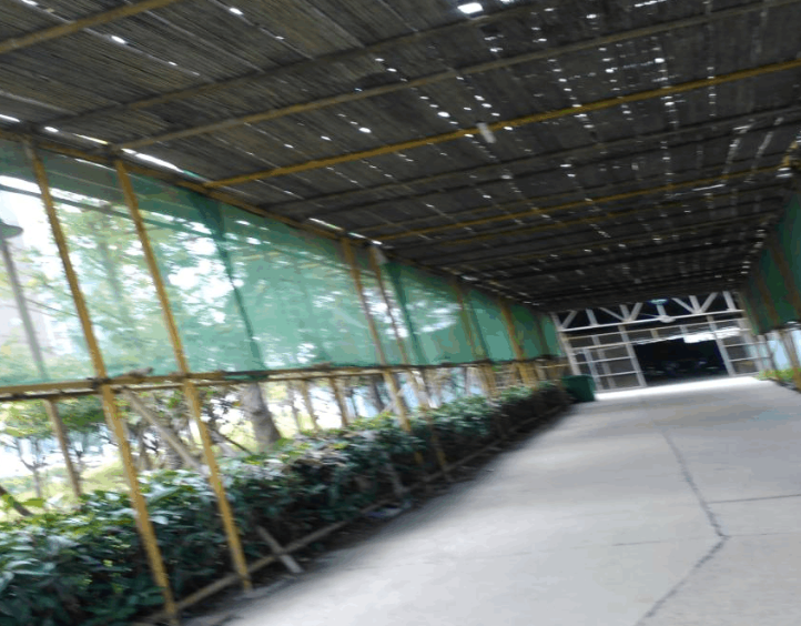 1750325178837192.png image.png